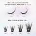 LANKIZ DIY Wispy Lash Clusters Individual Extensions 120 Clusters C+ D Mix Curl - Soft Lightweight 10-16mm Wide Band Mix Style Cluster Lashes | Home Use - Buy Online on GoSupps.com