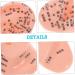Hemoton 4 Sets Auricular Tools - Ear Acupressure Kit with Magnet Ear Beads Patch - Silicone & Aluminum Alloy - Assorted Colors - 4pcs - Buy Online on GoSupps.com