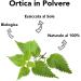 Organic and raw nettle powder - 150 g. Sun-dried nettle leaves to preserve their properties. Nettle powder for herbal tea and tea. Finely ground nettle organic and 100% natural. - Buy Online on GoSupps.com