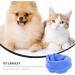 POPETPOP Covers Elastic Snood Protection Warm Warmer Multi-Function for Puppy Portable Noise Pet Earmuff L Blue - Buy Online on GoSupps.com