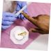minkissy Tools Nail Liquid Holder Nail Dish Cup Acrylic Nail Supplies Dappen Dish for Acrylic Nails Nail Powder Holder Nail Dish with Lids Nail Dappen Dish Manicure Glass Saucer Cup - Buy Online on GoSupps.com