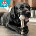 8in1 Pro Dental Bone for Large Dogs - Healthy Chewing Bone for Dental Care (85g) - 1 Pack - Buy Online on GoSupps.com