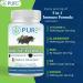 PURE 5 in 1 Immune Formula Premium Wellness Supplement Vitamin C D3 Zinc Elderberry Ginger 120 Capsules 60 Day Supply - Buy Online on GoSupps.com