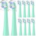Toothbrush Replacement Heads Compatible with Colgate Hum - Brush Heads Compatible with Hum Connected Smart Battery Electric Toothbrush 10 Count Green 10 Count (Pack of 1) Green