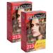 Vip's Prestige 213 Hazelnut Resistant Hair Cream "Vip's Prestige" with argan macadamia and chia oil / - (2 )