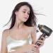 Negative Ionic Hair Dryer Quick Heat Up & Constant Temperature Fast Drying Lightweight Travel Hairdryer 4 Temps 2 Speeds Portable Home Hair Dryer for Home Travel (US Plug 110V) - Buy Online on GoSupps.com
