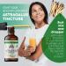 Organic Astragalus Tincture 700mg - Herbal Supplement in Organic Vegetable Glycerin 2oz - Buy Online on GoSupps.com