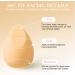 AUAUY 8 Pcs Makeup Sponge Blender Set Beauty Sponge Makeup Sponges for Foundation Multi-color Makeup Sponge Set With 1 holder 1 Storage Tank for Liquid Cream and Powder (Drop Cut Style) 8pcs Drop Cut Style - Buy Online on GoSupps.com