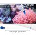 Coral Feeder Tube SPS HPS Feeder Long Short Version Fish Reef Coral Aquarium CFT2 Minimalist - Buy Online on GoSupps.com
