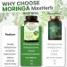 Moringa Capsules 5000 mg Approvisionnement de 2 mois | 60 g lules haute r sistance | V g talien sans OGM et test en laboratoire - Buy Online on GoSupps.com