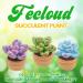 FECLOUD Crochet Knitting Kit for Beginners - Succulent Theme - Step-by-Step Video Tutorials Included - Buy Online on GoSupps.com