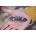 Handcrafted Butterflies Hair Clip - Made in USA 70mm Metal Barrette by Oberon Design - Buy Online on GoSupps.com