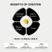 BOD Creatine Gummies | Lemon Drop | 5g Creatine Monohydrate for Muscle & Energy Support | 150 Gummies | 30 Servings | Pre Workout Supplement - Buy Online on GoSupps.com