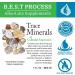 Morter Trace Minerals in Colloidal Suspension  Morter HealthSystem Best Process Alkaline  Nutrient Dense Trace Elements  Fulvic Minerals & Amino Acids 1 - Buy Online on GoSupps.com