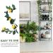 TOPBATHY Hanging Vine Fruit Garland Toys 2 Pcs Simulation Lemon Rattan Food Plastic Fake Plant Lemon Berry Vine Green Toys Yellowx2pcs 100x10cmx2pcs - Buy Online on GoSupps.com