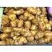 Jerualem Artichoke Tubers for Gardening Outdoors Sunchokes Sunroots 15 Tubers Fresh Jerusalem Artichoke Roots 10 Tubers