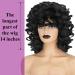 FOVER Short Curly Wig for Black Women - 14 Big Curly Afro Kinky Wig with Bangs - Heat Resistant Synthetic Hair Replacement - Natural Look (Black) - Buy Online on GoSupps.com