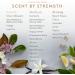 Aera Beach House Home Fragrance Scent Refill, Clean Formula with Notes of Ocean Air and Gardenia - Works with Aera Smart Diffuser - Buy Online on GoSupps.com