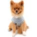 Paidful Cotton Striped Dog T-Shirt for Small Dogs - Summer Sleeveless Tee for Chihuahua & Yorkshire - Gray - 100% Cotton - Size S (Back Length: 20cm Bust: 32cm) - Buy Online on GoSupps.com