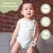 Silicone Pacifier 4 Pack Silicone Soother Set Silicone Newborn Pacifiers With Handle & Safety Airholes Baby Pacifier Binky Set o1baby (Green Grey) - Buy Online on GoSupps.com