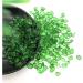 Natural Crystal Rough 50g 7-9mm Green Glass Gravel Glaze Stone Rock Polished Aquarium Specimen Decor Natural Quartz Crystals Home Decoration ERTEYIN - Buy Online on GoSupps.com