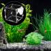 Acrylic Fish Breeding Box with Suction Cup - Aquarium Hatchery Incubator - Buy Online on GoSupps.com