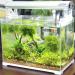 Buy LCD 3D Digital Aquarium Thermometer - Multifunctional Temperature Measurement for Aquariums & Reptile Incubators - International Shipping Available - Buy Online on GoSupps.com