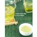 TeeLux Matcha Green Tea Bags 100 Count - Antioxidant-Rich Japanese Matcha and Sencha Blend - Zero Calories - Caffeinated Classic Flavor - Pack of 1 - Buy Online on GoSupps.com