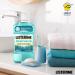 Listerine - Intense Freshness Mouthwash Menthol Lighter Taste Alcohol-Free Mouthwash 500ml - Buy Online on GoSupps.com