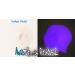 Avid Colorist Purple Glow Powder - 1oz (30g) Neutral in Daylight, Indigo Violet Glow in Dark - Glow in The Dark Pigment for Resin, Slime, Nail Polish, Paints, Coatings - Acrylic Powder Indigo Violet 30g - Buy Online on GoSupps.com