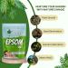 Bliss of Earth Sel d'Epsom pour bain plantes et pieds sulfate de magn sium naturel relaxant pour soulager les muscles aromath rapie v g talien sans cruaut envers les animaux (1 kg) - Buy Online on GoSupps.com