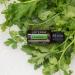 doTERRA Cilantro Essential Oil 15 mL | Pure Aromatherapy for International Shipping - Buy Online on GoSupps.com