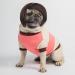 Cobee Funny Dog Cat Cosplay Wig Pet Wig-Adjustable Costume Pet Funny Headwear Costumes Headgear for Small Medium Large Dog Cat Wigs Dress Up Decorations for Halloween Christmas Parties Festivals - Buy Online on GoSupps.com