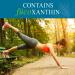 Buy Garden of Life FucoThin 90 Softgels - Premium Weight Management Supplement - Buy Online on GoSupps.com