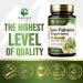 Saw Palmetto Prostate Health Supplements for Men 1000mg - 3X Strength with Pumpkin Seed DHT Blocker Urinary Health and Prostate Support for Mens Health Vegan Non-GMO Bottled in USA - 120 Capsules 120 Count (Pack of 1) - Buy Online on GoSupps.com
