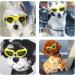 Shop UV Protection Dog Sunglasses | Adjustable Sunglasses for Dogs & Cats | Sun & Wind Eye Protection - Buy Online on GoSupps.com