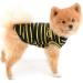 Shop Paidful Summer Clothing for Small Dogs & Cats | Classic Striped Cotton T-Shirts & Vests for Puppies Boys & Girls - Breathable & Stylish! - Buy Online on GoSupps.com