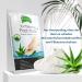 P-Beauty Footmaster Aloe - Intensive Foot Care Peeling Socks | Remove Rough Skin Cracks & Calluses | 5 Pairs for Silky Soft Feet - Buy Online on GoSupps.com