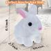 ZBATHTOY Interactive Rabbit Toy for 1-6 Year Old Boys and Girls | Birthday Gift for Toddlers | Educational Pet Toy for Kids Age 6M - Buy Online on GoSupps.com