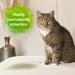 Bactador Cat Litter Odour Remover Spray 500ml - Enzyme Cleaner for Cat Urine Odors - Household & Animal Environment Solution - Buy Online on GoSupps.com