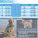 Emust Dog Life Preserver | High Buoyancy Flotation Vest for Small Medium & Large Dogs | New Blue Camouflage for Swimming & Beach Activities - Buy Online on GoSupps.com