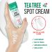 KISS New York Tea Tree Spot Cream - Lightweight Korean Skincare for Blemishes | International Shipping - Buy Online on GoSupps.com