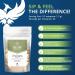 Renova Worldwide CellularTEA - Immunity Support & Detox Cleanse with Organic Cat's Claw, Burdock Root, Echinacea, Turmeric & Ginger - Caffeine-Free Herbal Tea - 48 Servings - Buy Online on GoSupps.com