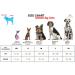Ducomi Inflatable Pet Hinges for Dogs & Cats - Comfortable Recovery Freedom of Movement Scratch & Bite Prevention - Size M (Gray) - Buy Online on GoSupps.com