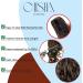 CAISHA 20" Hairpiece Ponytail Clip On Extension With Butterfly Claw Voluminous Wavy Intense Red H101 intense red #3100 H101 - Buy Online on GoSupps.com