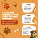 Snaks Yak Cheese Dog Chew - Cheese Bones & Long Lasting Dental Treats for Aggressive Chewers - Keeps Dogs Busy & Improves Oral Health - Rawhide-Free - Pack of 4 Small (Approx. 160-200g Per Pack) Small Pack of 4 - Buy Online on GoSupps.com