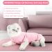Shop Lianzimau Katzenbody for Post-Op Cats | Long-Sleeved Catwear & E-Collar Alternative - Pink Streaked (M 1 Pack) - International Shipping Available - Buy Online on GoSupps.com