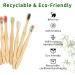 12 Pack Bamboo Toothbrushes - Eco-Friendly Biodegradable Charcoal Brushes with Soft Bristles | Colorful & Sustainable Dental Care - Buy Online on GoSupps.com