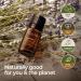 Gya Labs Organic Lavender Essential Oil 10ml - Aromatherapy for Relaxation, Skin and Hair - 100% Pure, Natural & Organic - Pack of 1 - Buy Online on GoSupps.com