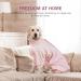 Lelepet One - Divider for Dogs | Medical Protective Suit for Small to Large Breeds | Post-Op Recovery Shirt & Wound Protection Pajamas | Pink M - Buy Online on GoSupps.com